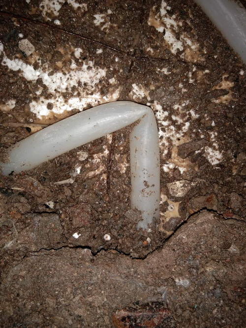 富宁堵点精准查找